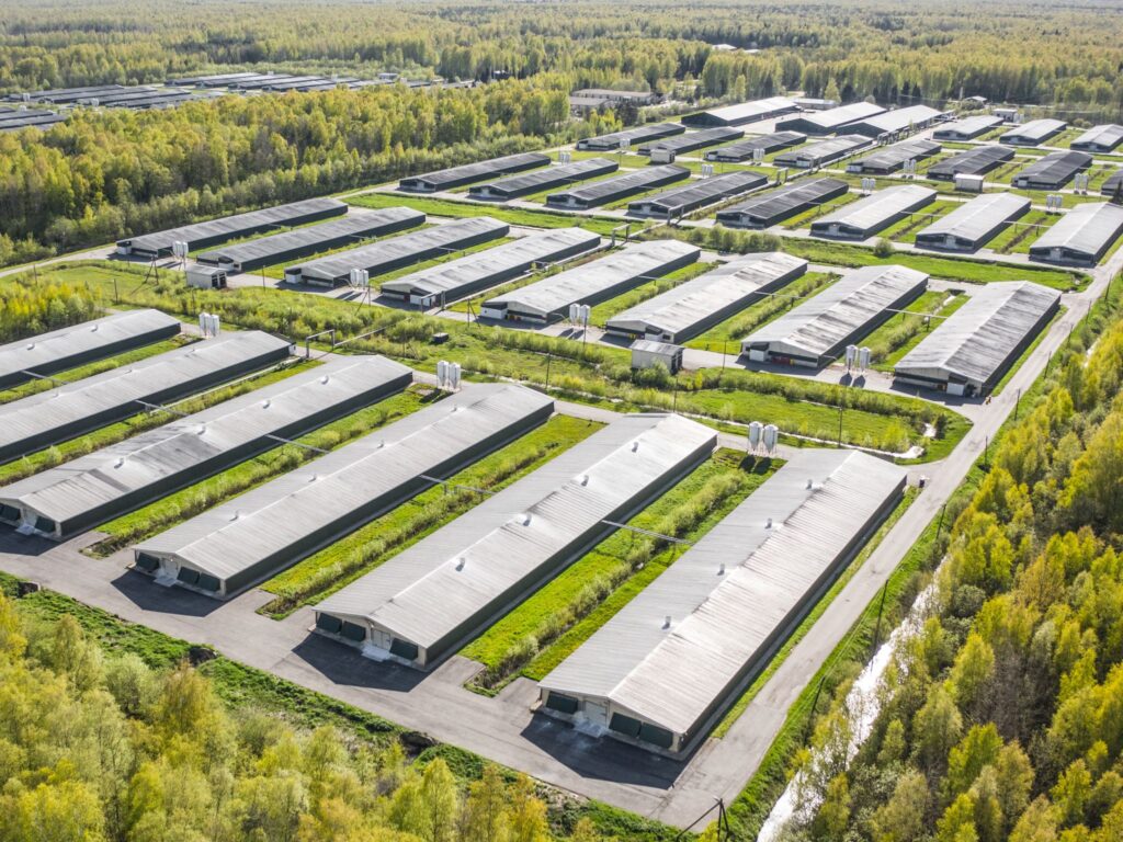 Aerial view of poultry farm among forest